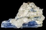 Vibrant Blue Kyanite Crystals In Quartz - Brazil #113469-1